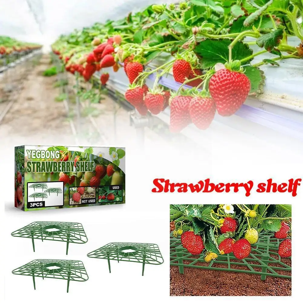 

Strawberry Frame Support Balcony Planting Shelf Fruit Stand Fruit Vegetable Growing Pillar Farm For Plants For Garden Flowe D7M8