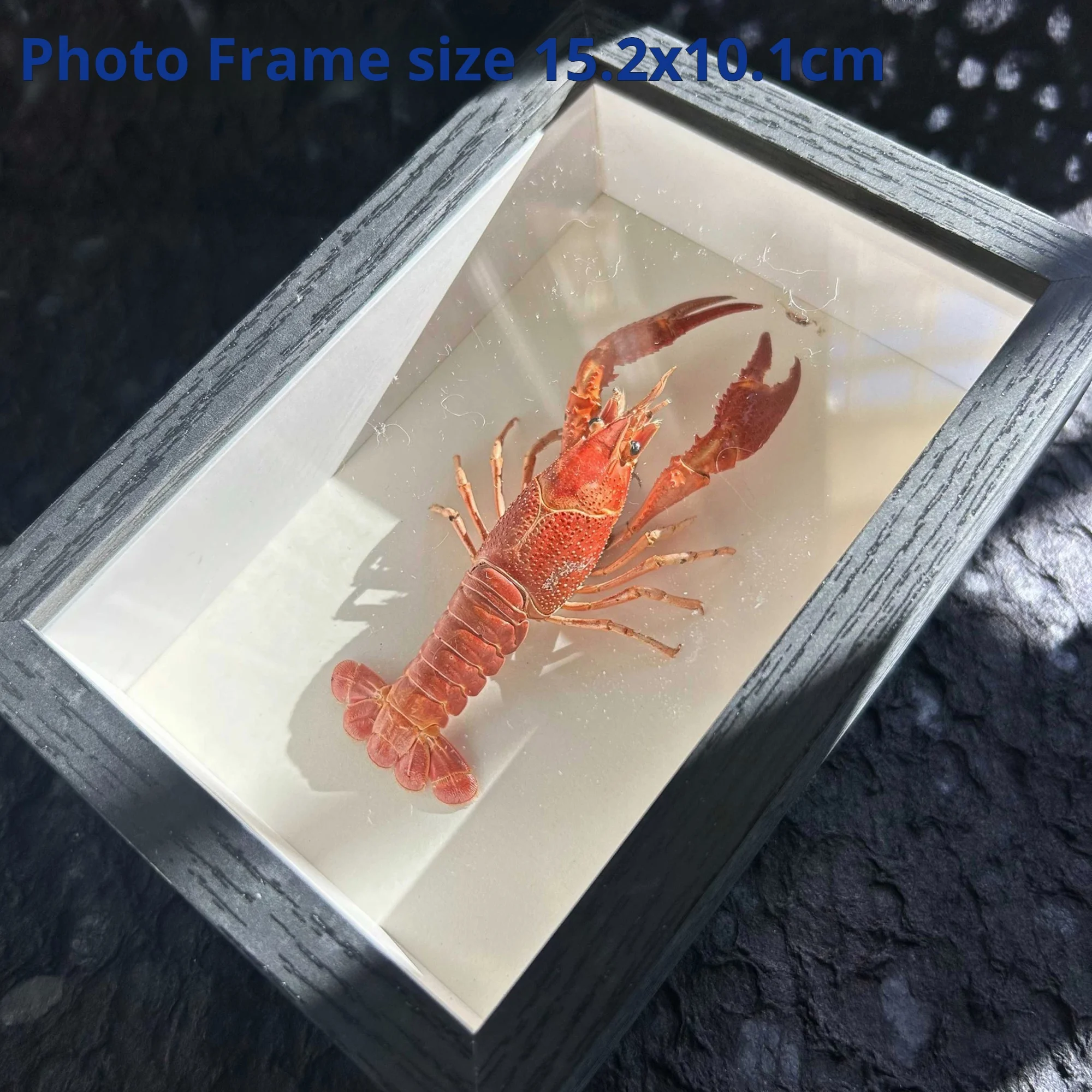 

Декоративная рамка для фотосъемки aoshrimp