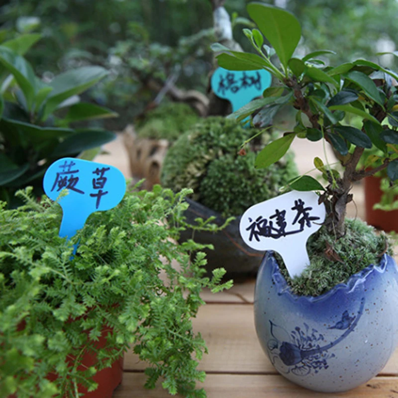 

30Pcs Garden Flowers Potted Plant Plastic Label Garden Decorations Nursery Signs Prompt Card And Tag Identification Tools