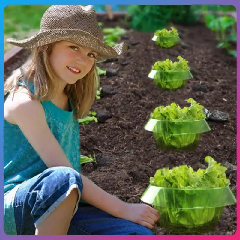 

2pcs Vegetable Protective Covers Household Agricultural Vegetable Garden Green Flower Pot Plant Covers Pest Care Garden Tools