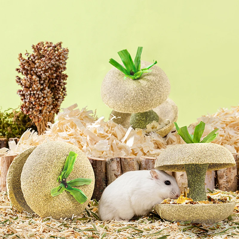 

Small Animal Natural Chewing Toy Hamster Grass Molar Feed Toy Pet Teeth Grinding Supplies for Chinchillas Guinea Pig Rat