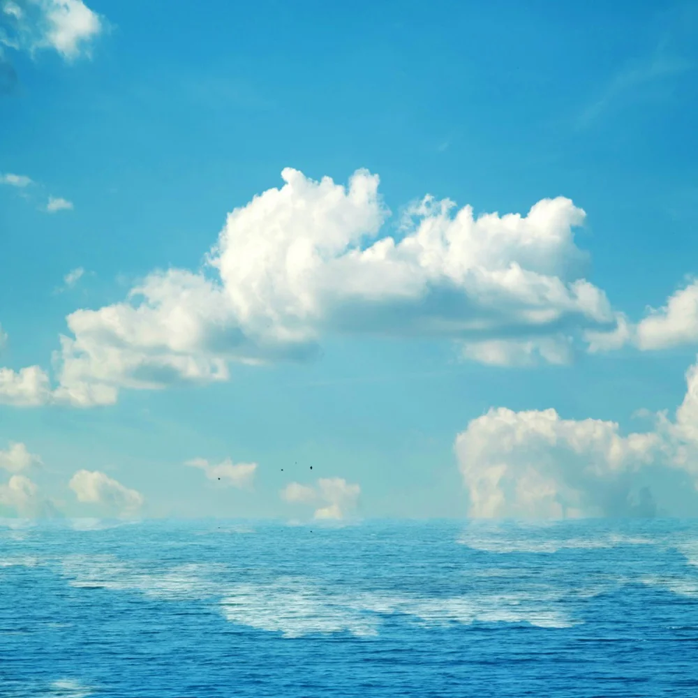 

Фотофоны для фотосъемки с изображением домика в виде грибов для девочек