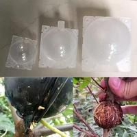 20221020x plant rooting ball grafting rooting growing box transparent breeding seeding case container nursery box root garden t