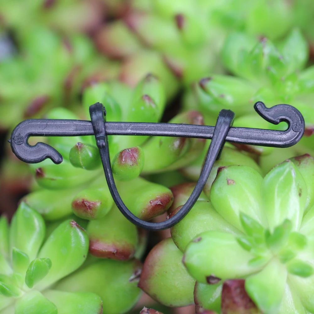 

100PCS Garden Plants Vines Fixed Clips Tied Buckles Lashing Hook for Kiwi Grape Cucumber Tomato Stems Fastener Gadgets Grafting