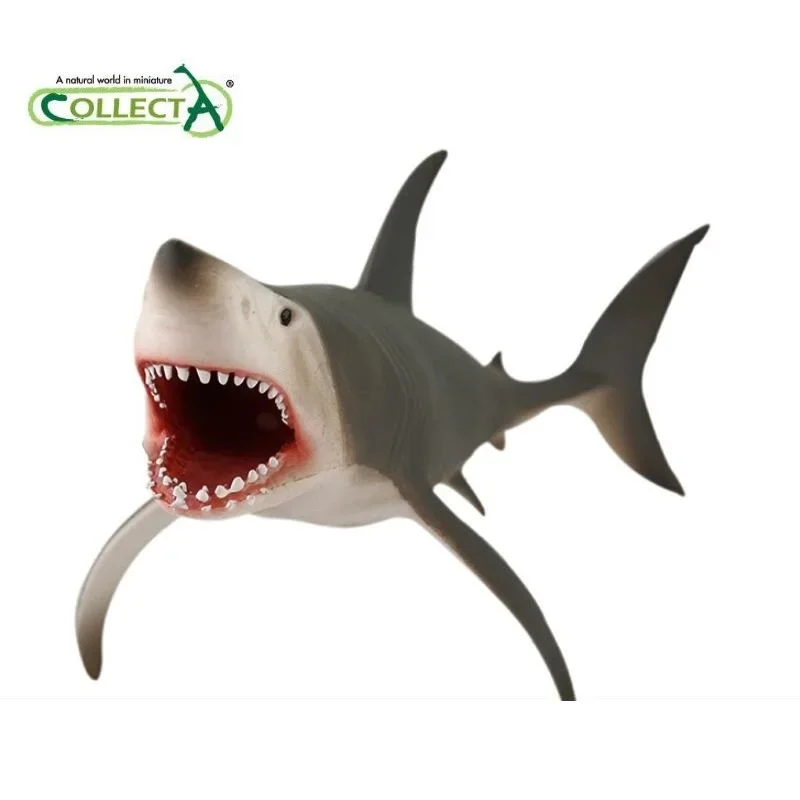 Фото CollectA Great White Shark Jaws Классическая игрушка Морские животные Свирепый зверь Модель животного №1