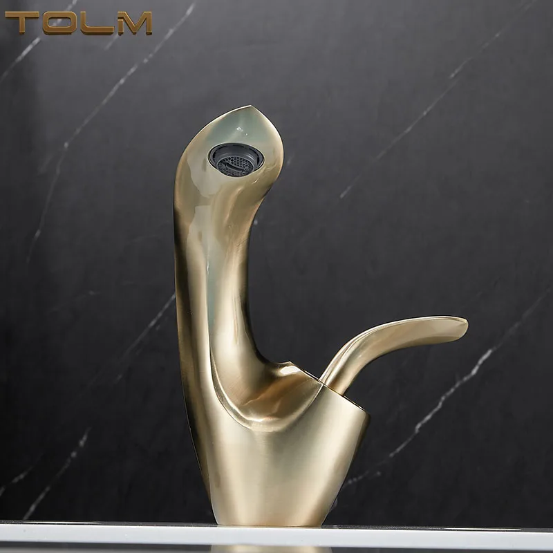 

TOLM Basin Faucets Modern Bathroom Mixer Tap Brass Washbasin Faucet Single Handle Single Hole Elegant Crane For Bathroom