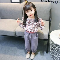 2pcs baby girls clothing sets children kids clothes spring shirt pants sets for girl cute floral long sleeve clothing 0 4y