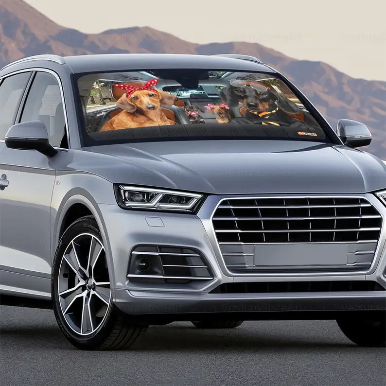 Рисунок 4 - Автомобильный солнцезащитный козырек такса