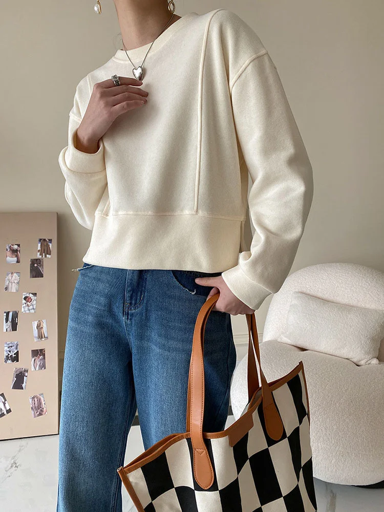 

Knitting Sweater Purple Slim Loose Fit Round Neck Long Sleeve Women Pullovers New Fashion Tide Autumn Winter 2022 K119