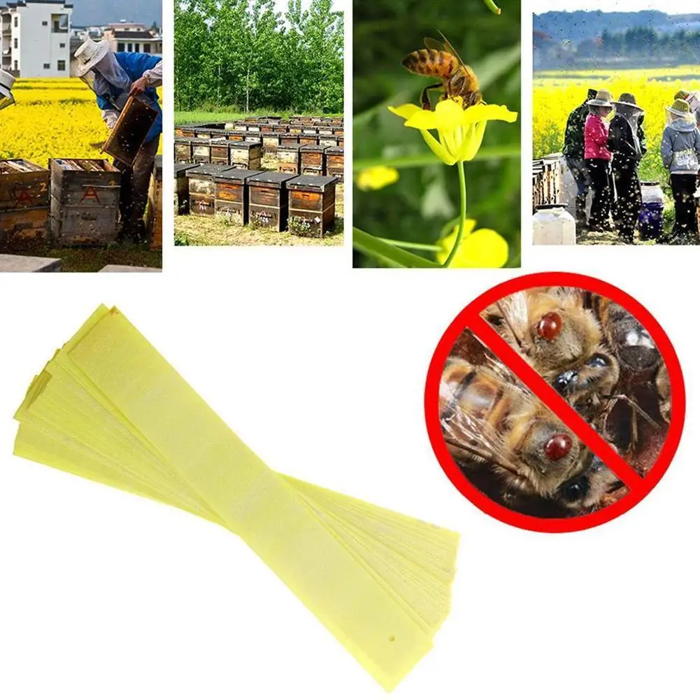 

20Pcs/Pack Fluvalinate Strips Anti Insect Pest Controller Instant Mite Killer Miticide Bee Medicine Mite Strip Home tool Farm