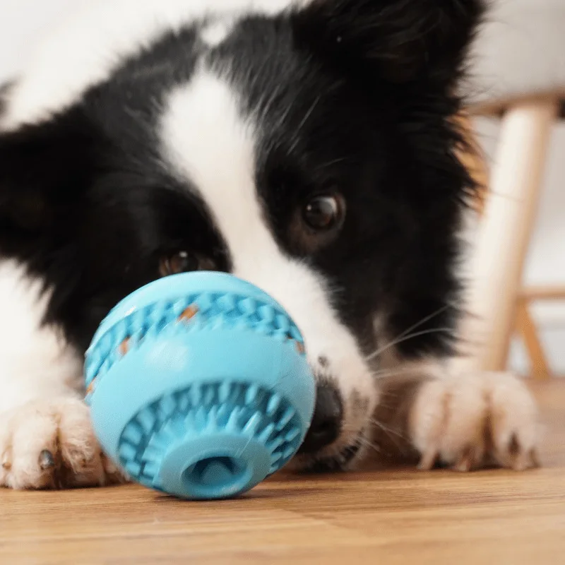 

Pet Dog Toy Interactive Rubber Balls for Small Large Dogs Puppy Cat Chewing Toys Pet Tooth Cleaning Indestructible Dog Food Ball