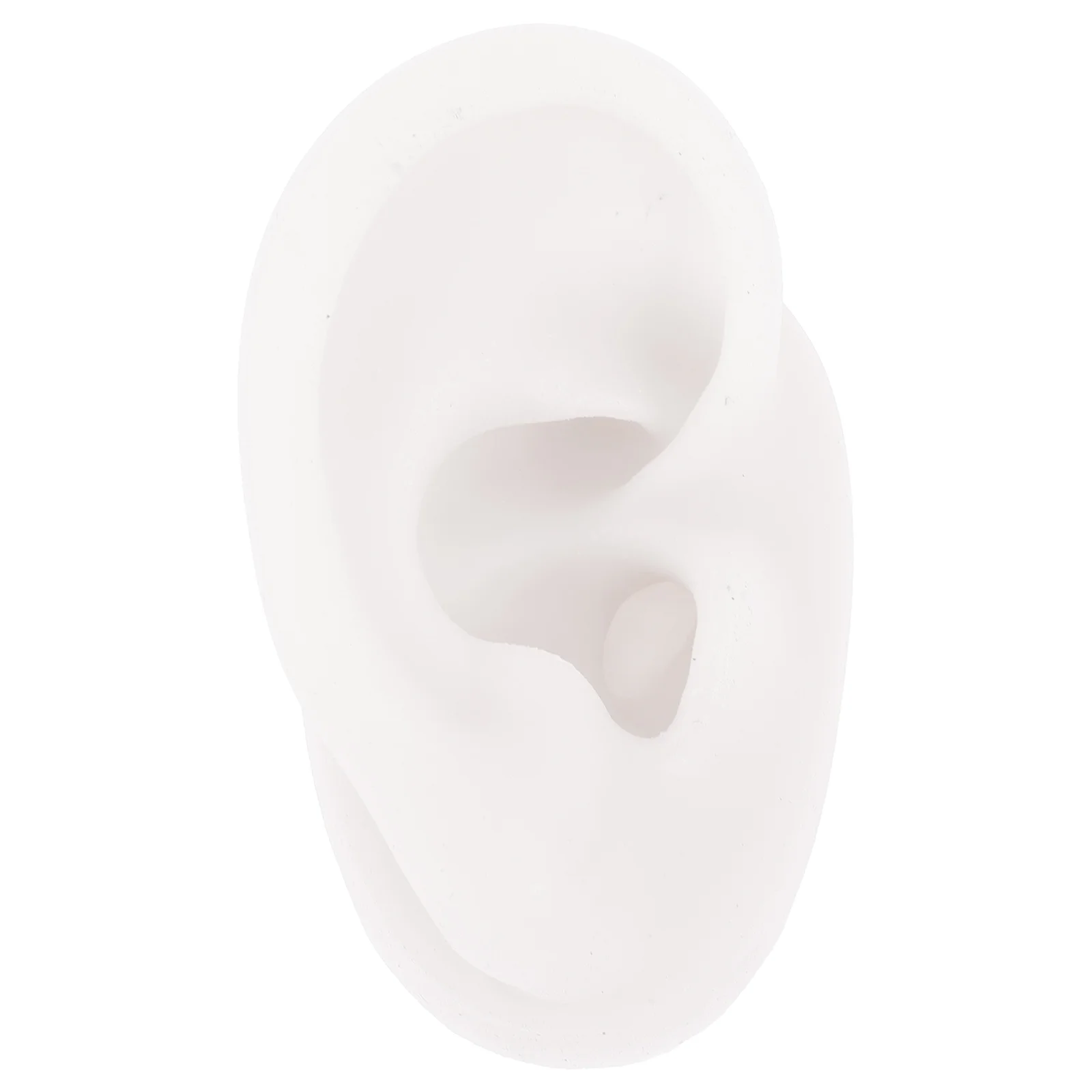 

Многофункциональная профессиональная реалистичная модель человеческих ушей, инструмент для тренировки ушей, держатель для дисплея