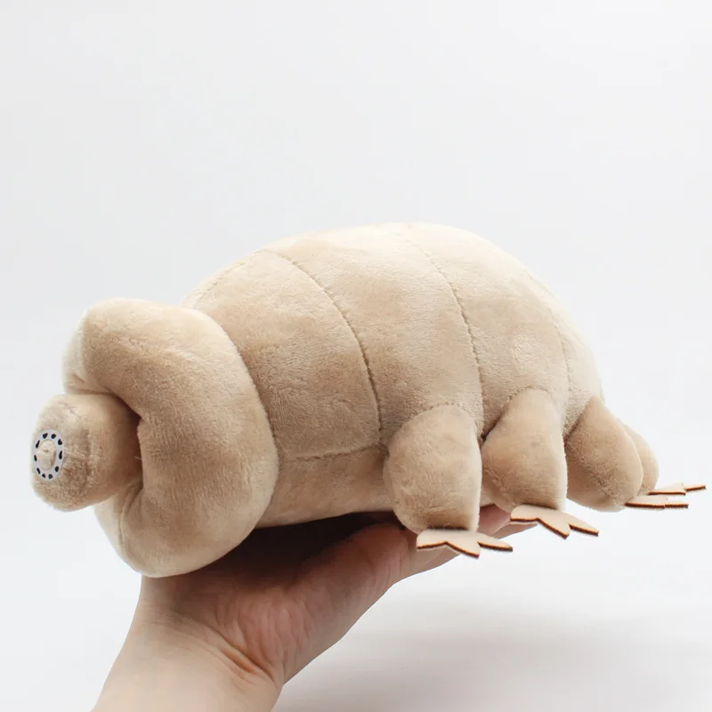 

2023 New 25CM Kawaii Tardigrade Plush Toy Soft Stuffed Animal Lovely Water Bear Insect Doll Kids Educational Doll Birthday Gifts