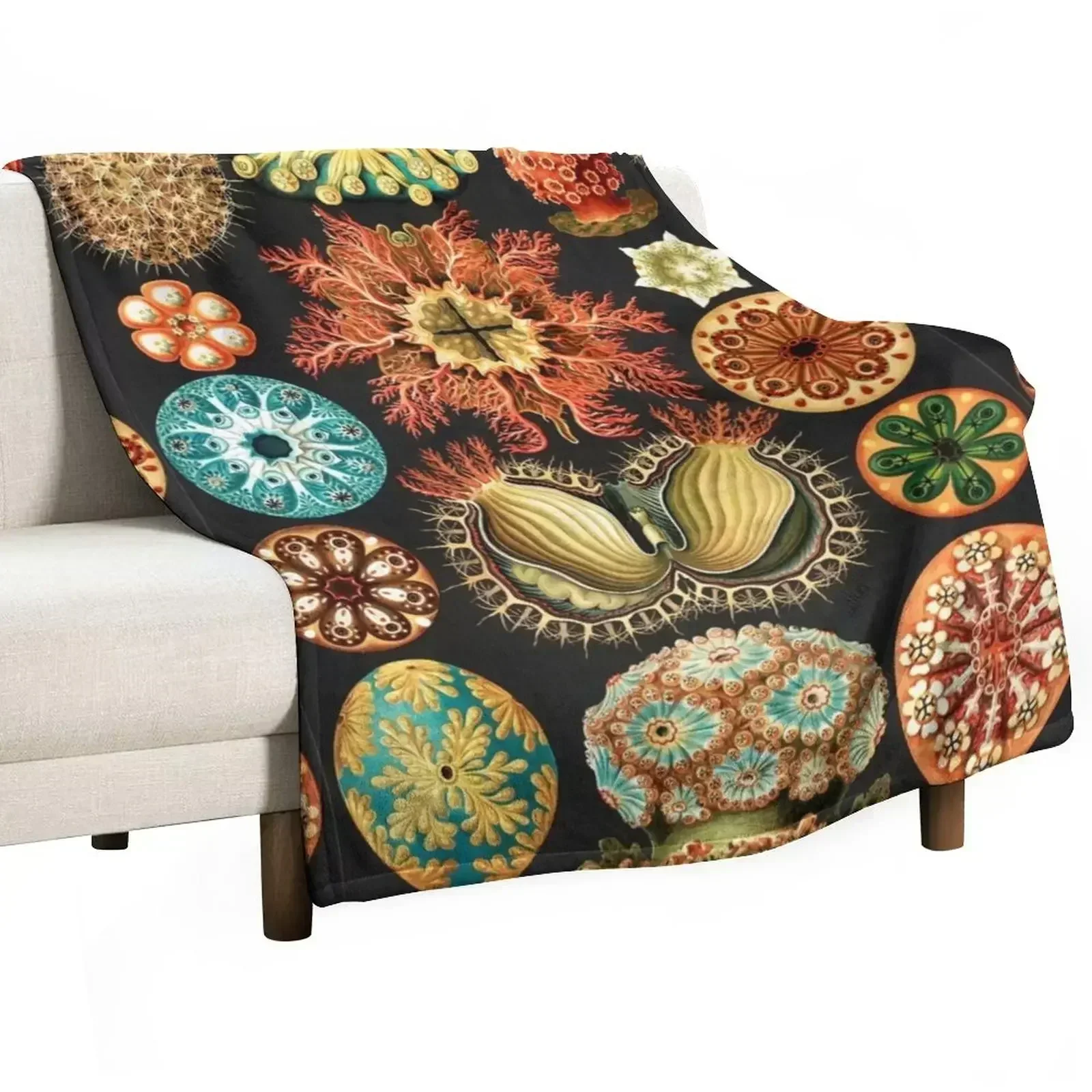 Одеяло Artforms in Nature от Ernst Haeckel тонкие одеяла из фланелевой ткани