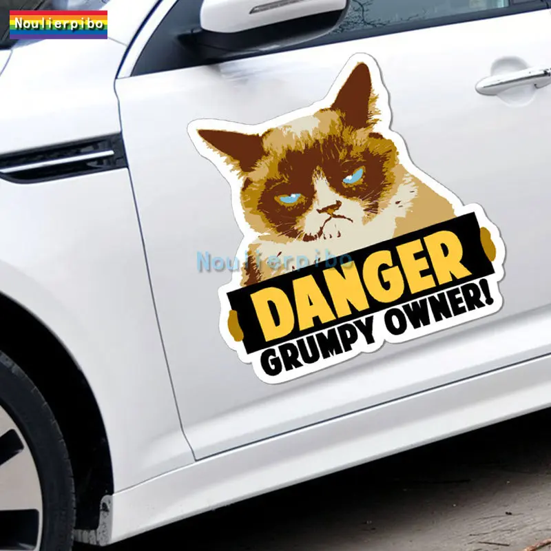 

Смешной сердитый Owner Grumpy Catv Автомобильная наклейка светоотражающая подходит для мотоциклов, бамперов, скейтбордов, автомобильных окон, ПВХ наклейка