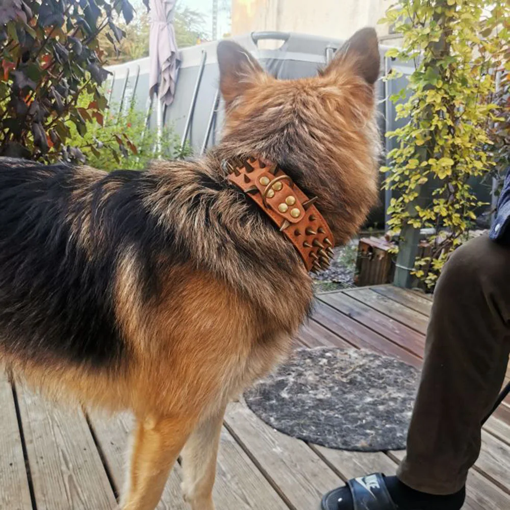 

Sharp Spiked Studded Leather Dog Collars Punk Rivet Big Dog Collar Adjustable Medium Large Dogs Bulldog Boxer Collar Anti-Bite
