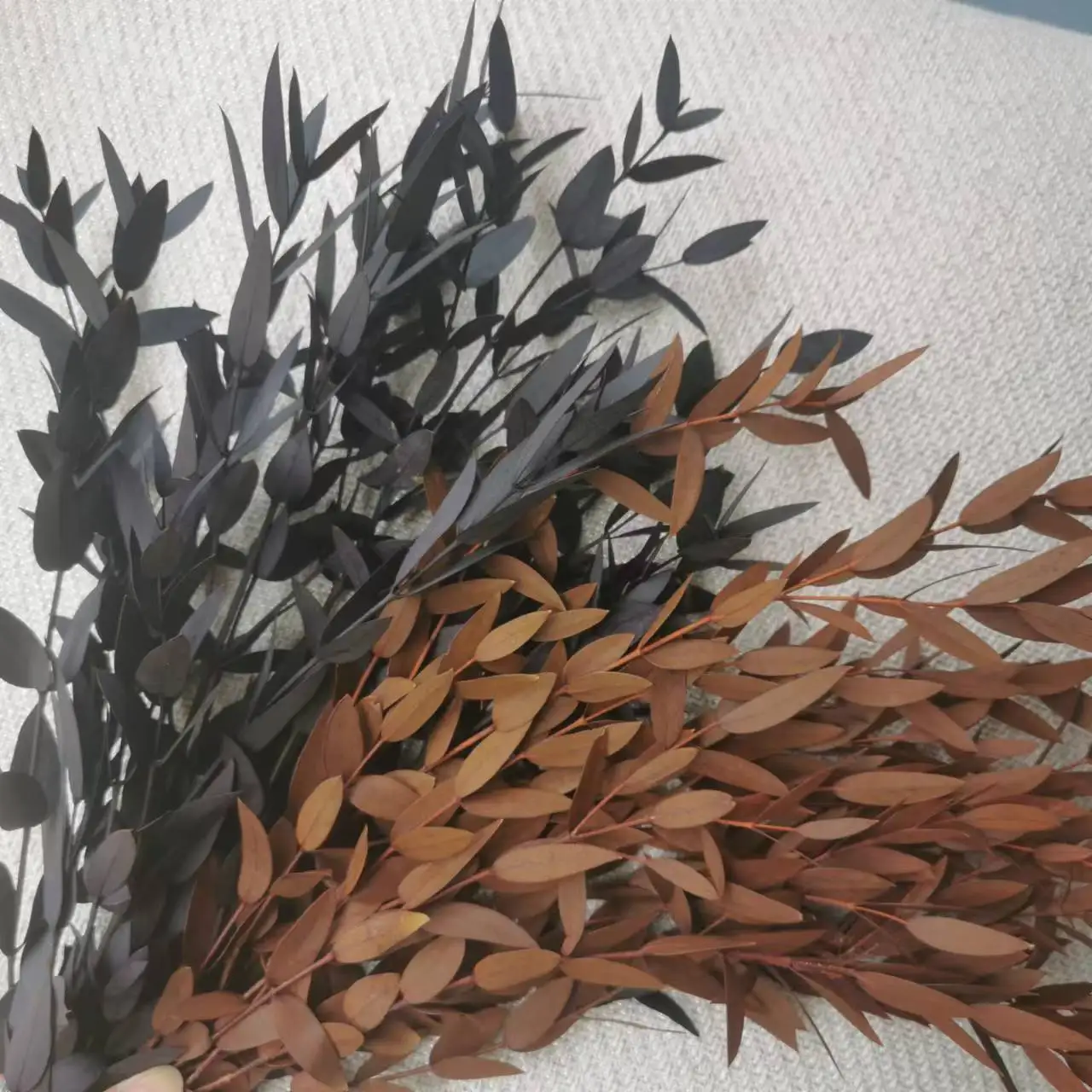 

50g Eucalyptus Leaves Nature Preserved Dried Flower Real Plant for Wedding Decoration Living Room Home Bedroom Wall DIY Bouquet