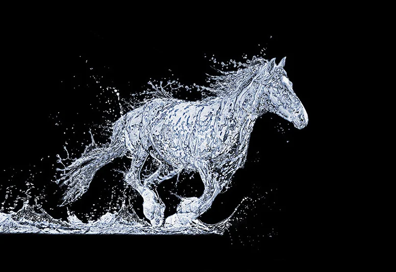 

Diamond Painting Horse Animal 5D DIY Full Round Diamond Embroidery Horse Diamond Mosaic Rhinestone Cross Stitch Home Decor