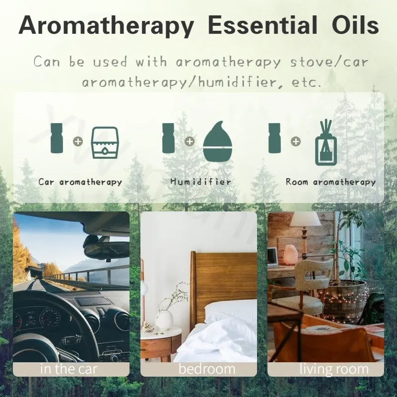 Рисунок 5 - Автомобильный парфюм