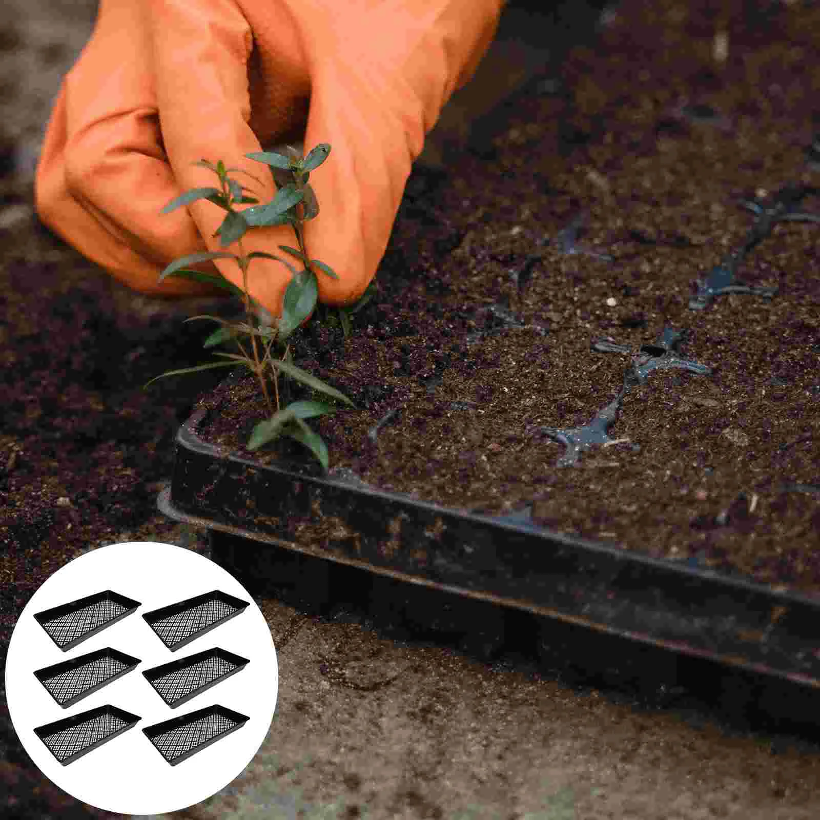 

6 Pcs Drain Pan Miniature Plants Plate Sowing Tray Germination Nursery Growing Starter Plastic Multi-hole