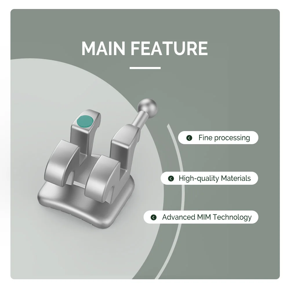 Рисунок 2 - 10 наборов, металлические Ортодонтические