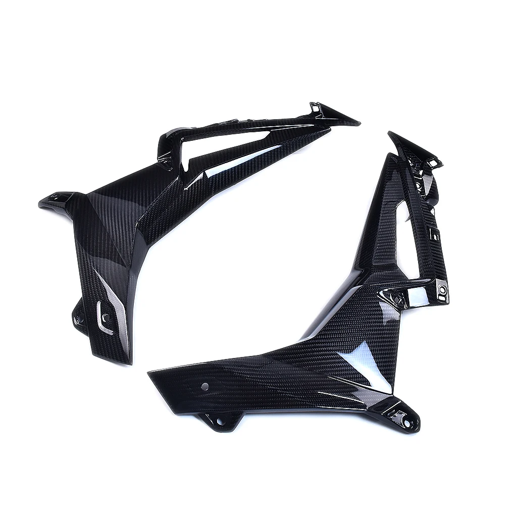 

For BMW S 1000 R 2021-2023 M 1000 R 100% Carbon Fiber Internal Side Panels