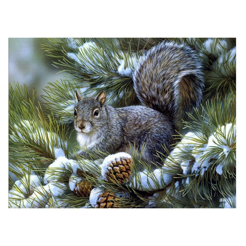 

Набор для алмазной живописи «сделай сам», алмазная вышивка стразы, домашнее украшение, белка