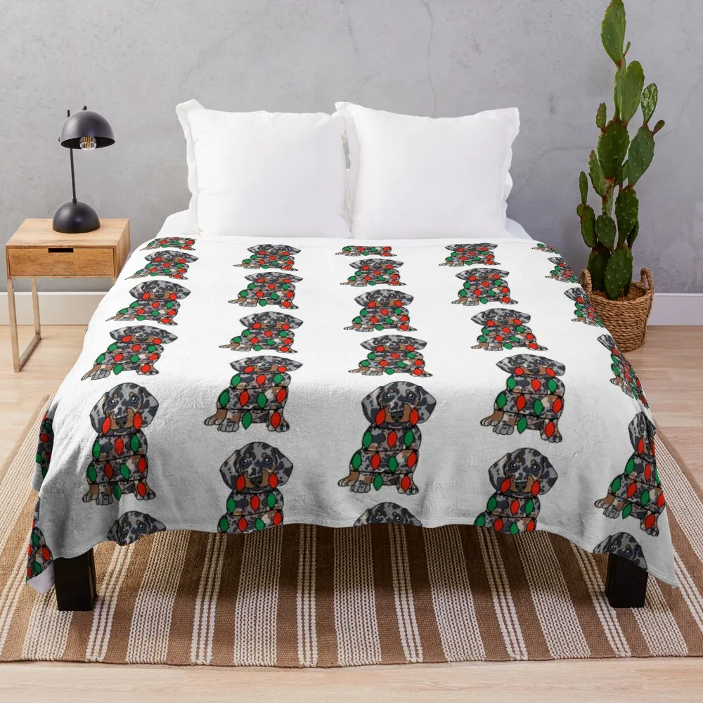 Такса Даппе Собака с рождественскими огнями завернутая вокруг тела –