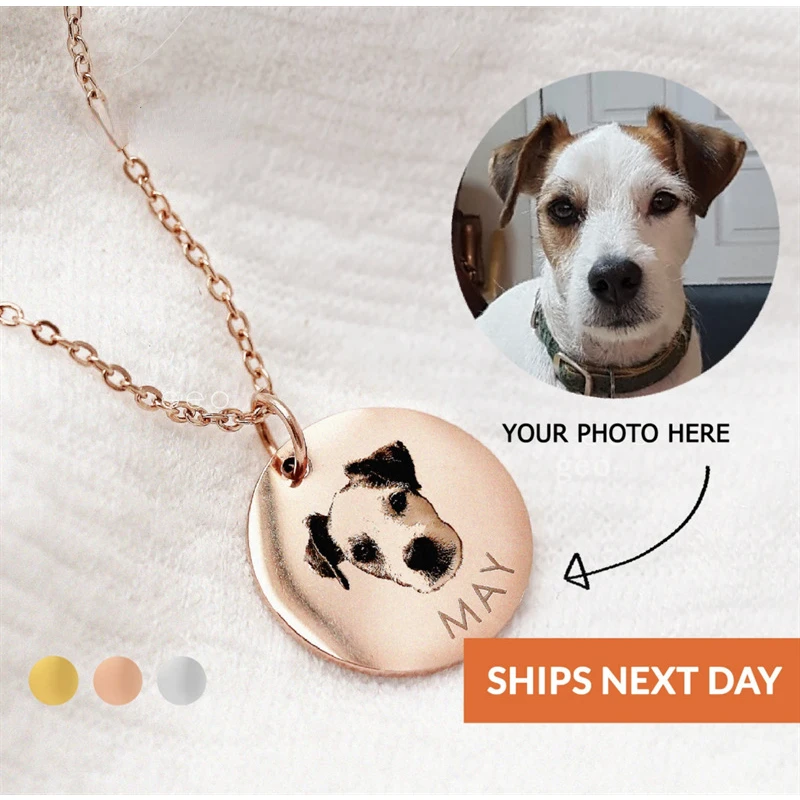 

Ожерелье из нержавеющей стали с выгравированным текстом и логотипом кошки и собаки