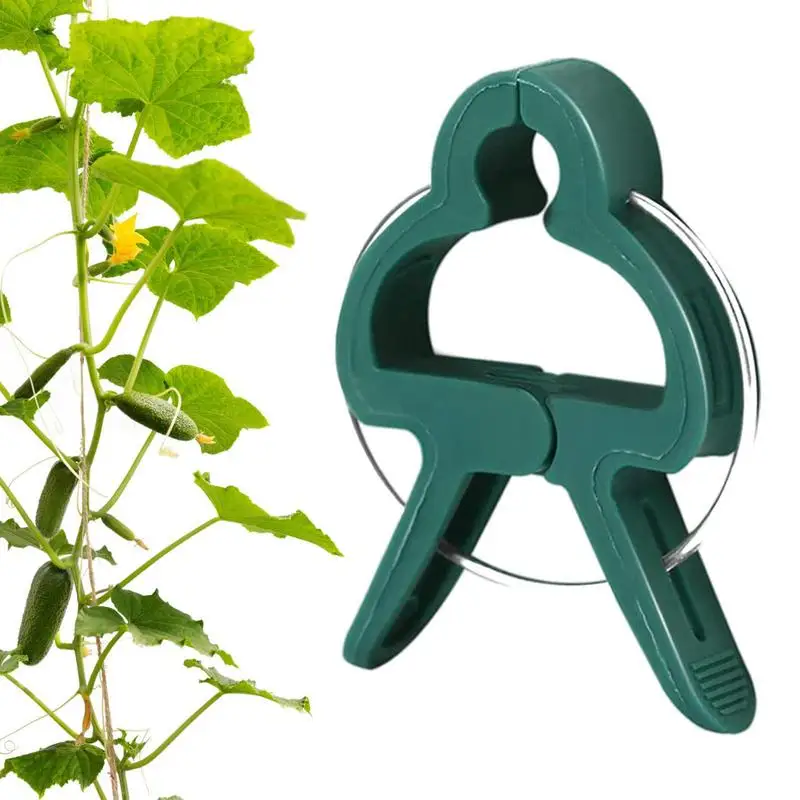 

Vine Clips For Climbing Plants 10Pcs Tomato Clips Reusable Plant Fastener Adjustable For Fixing Chili Vegetable Cucumber Plant