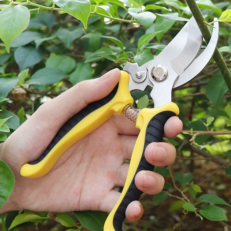 

Pruner Garden Scissors Stainless Steel Sharp Bypass Pruning Shears Tree Trimmers Secateurs Hand Clippers For Garden Beak Scissor