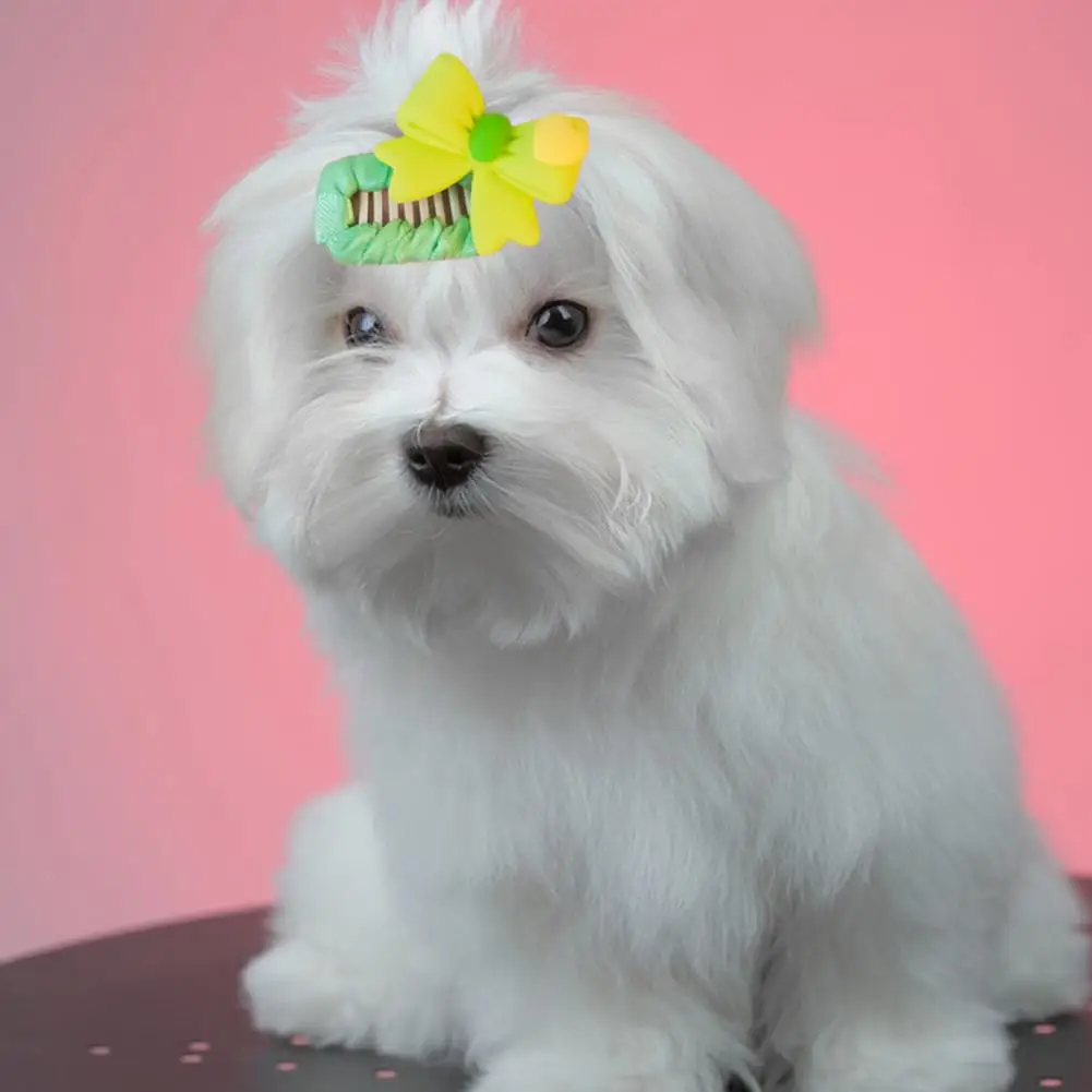 

Заколка на волосы для домашних животных Изысканный зажим BB для домашних животных, привлекательные аксессуары для собак