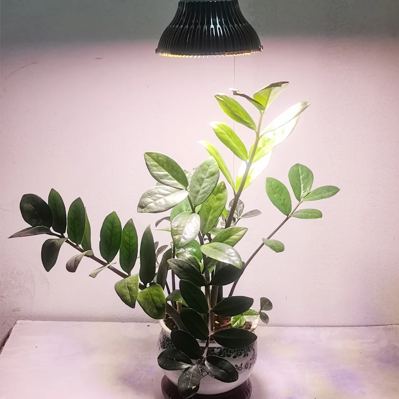 Bulb Par38 Full Spectrum Plant Light Bulb E27 Base Grow Lamp For Indoor Plants Seedlings Greenhouse Hydroponic