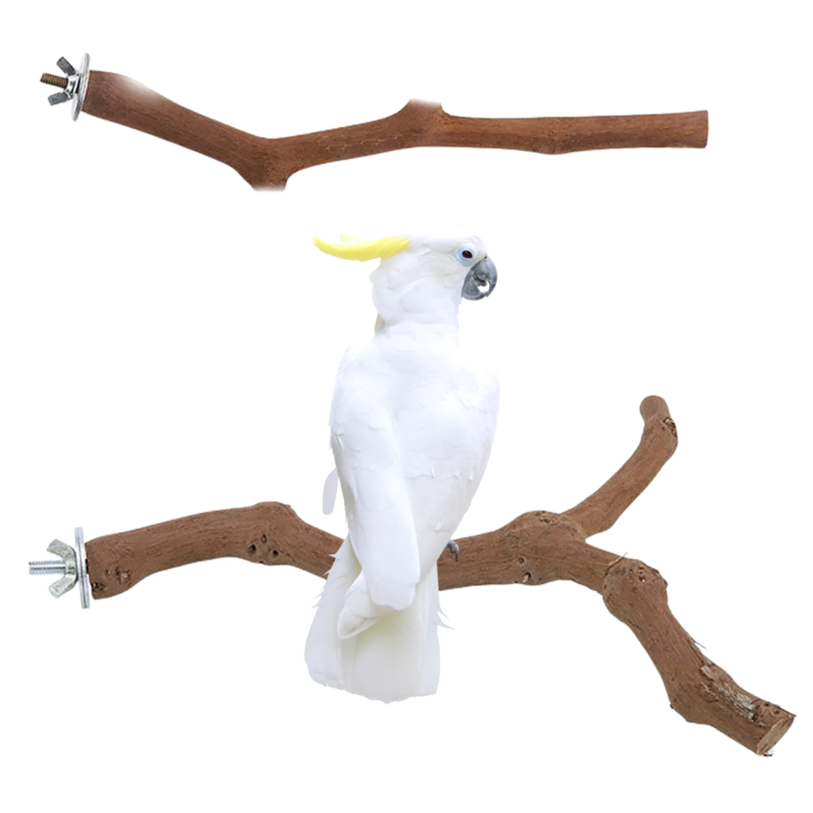 

Pet Parrot Branch Perches Stand Wood Fork Stand Rack Pet Bird Mouth Grinding Claw Grinding Wooden Toy Rest Holder Pet Supplies