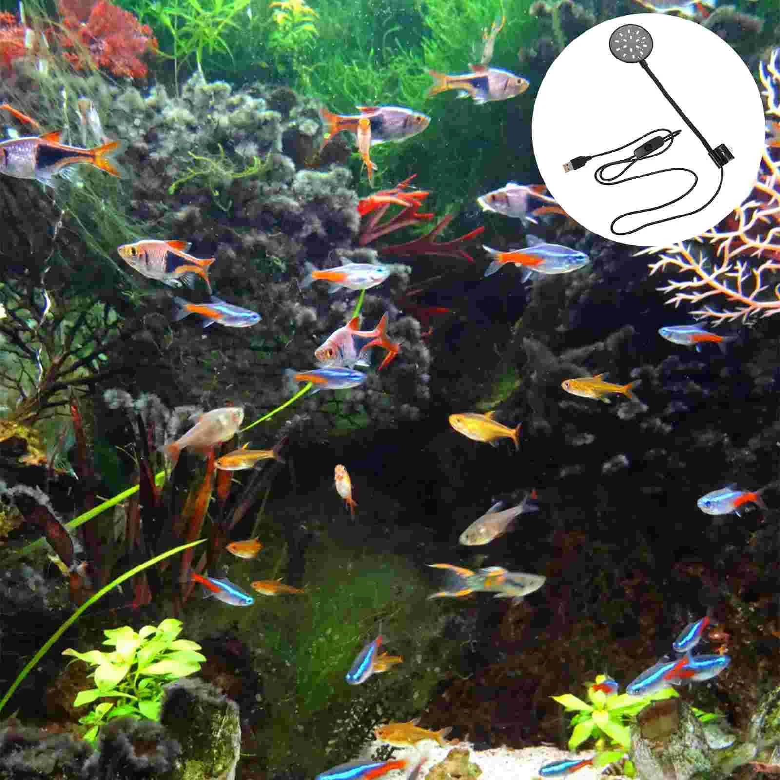 

Small Fish Tank Light Reusable Aquarium Lamp LED Lights Compact Wear-resistant Plastic Supply Accessory For Bowl