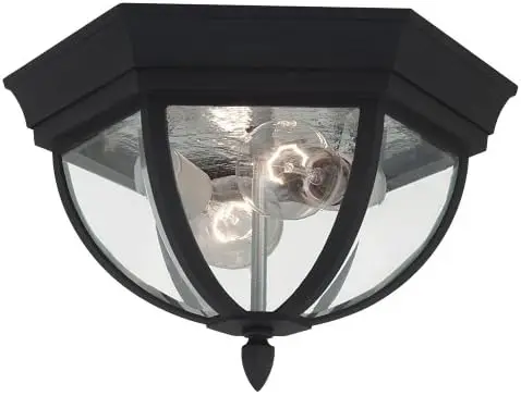 

Wynfield Two-Light Outdoor Ceiling Flush Mount Hanging Modern Light Fixture, Black Finish Pendant lights House decoration Night
