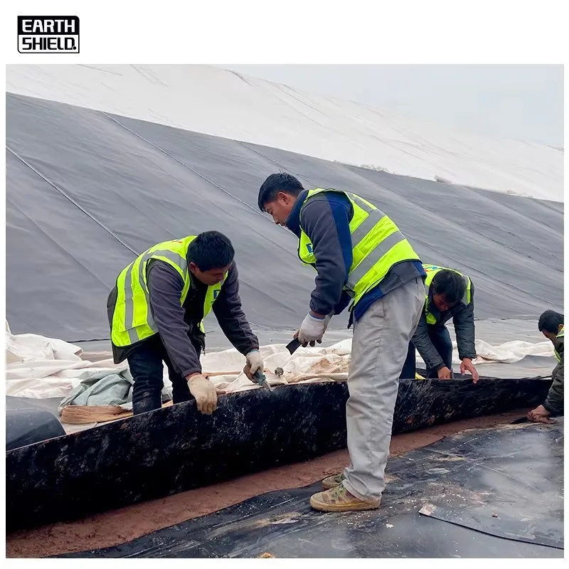 Фото 【2026】Геомембрана из HDPE шириной 6м и 8м для прудов и водоемов, современная, экологически чистая, для рыбоводства, аквакультуры и водоудержания №3