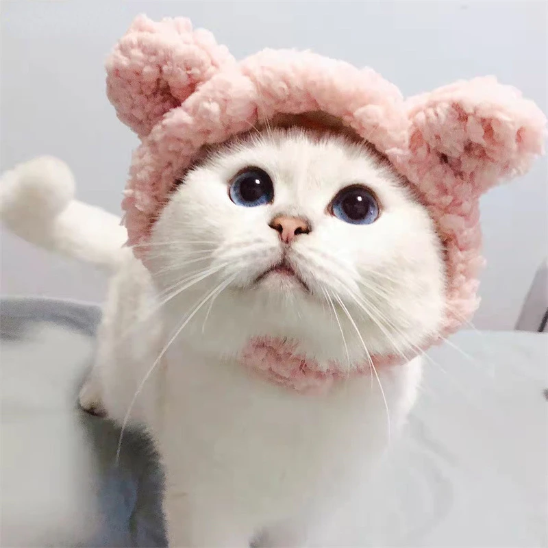 

Cute Plush Bear Cat Cap Birthday Dress Up Dog Headgear Funny Rabbit Ears Puppy Hat Pets Photo Props Headwear Kitten Headdress