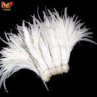 natural white chicken feather tail size 35 40 cm 14 16 inch for carnival
