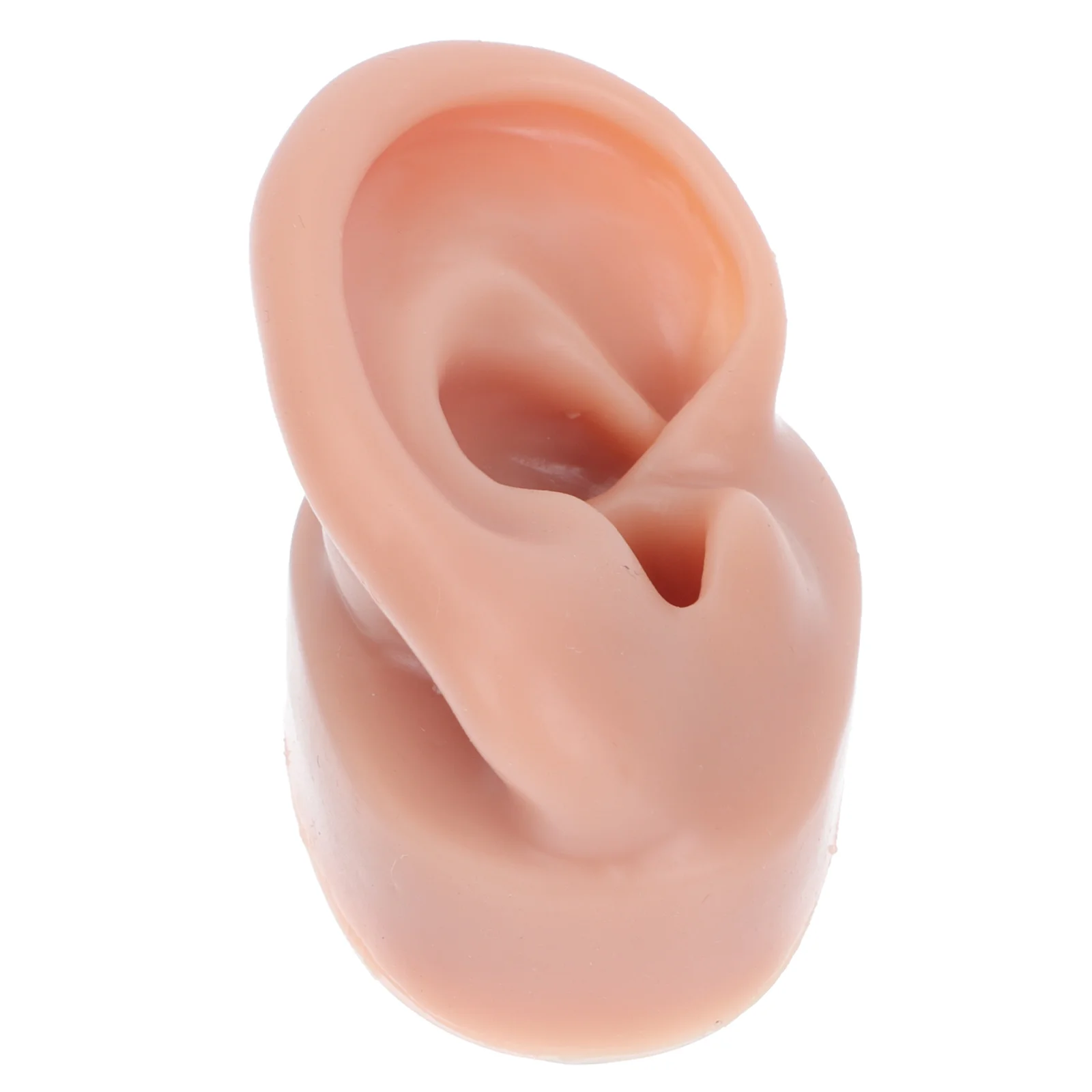

Ear Modelsilicone Tool Body Practice Display Suture Props Human Pierce Artificial Flexible Fakekit Soft Mold Simulation Rubber