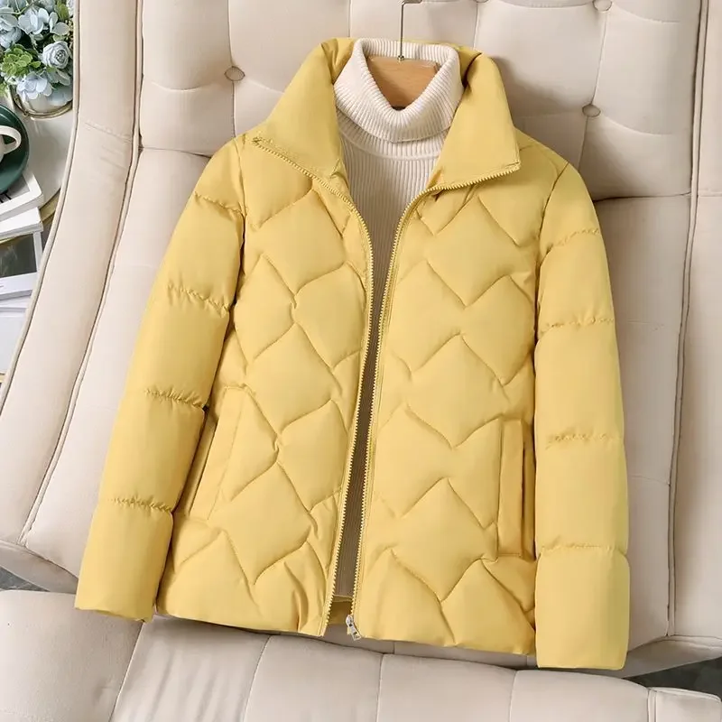 Теплая зимняя распродажа однотонные парки женские пальто на молнии для женщин