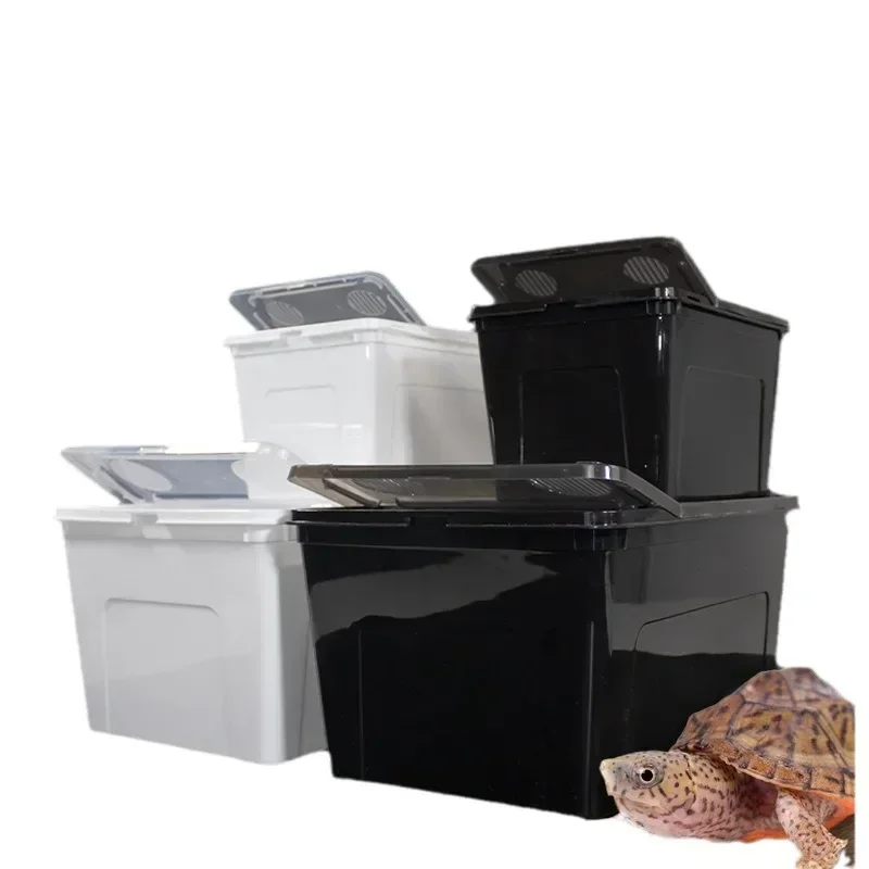 Коробка для кормления рептилий прозрачная черепаха инкубационные контейнеры