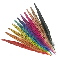 wholesale female pheasant tail feathers holiday decorations natural feathers for jewelry making carnival plumas indian headdress