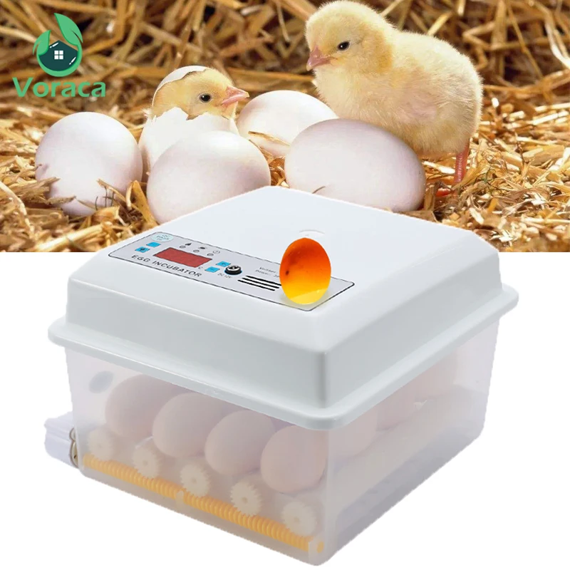 

220V 16 Eggs Eggs Incubator Brooder Bird Quail Duck Chick Hatchery Poultry Hatcher Turner Fully Automatic Farm Incubation Tools