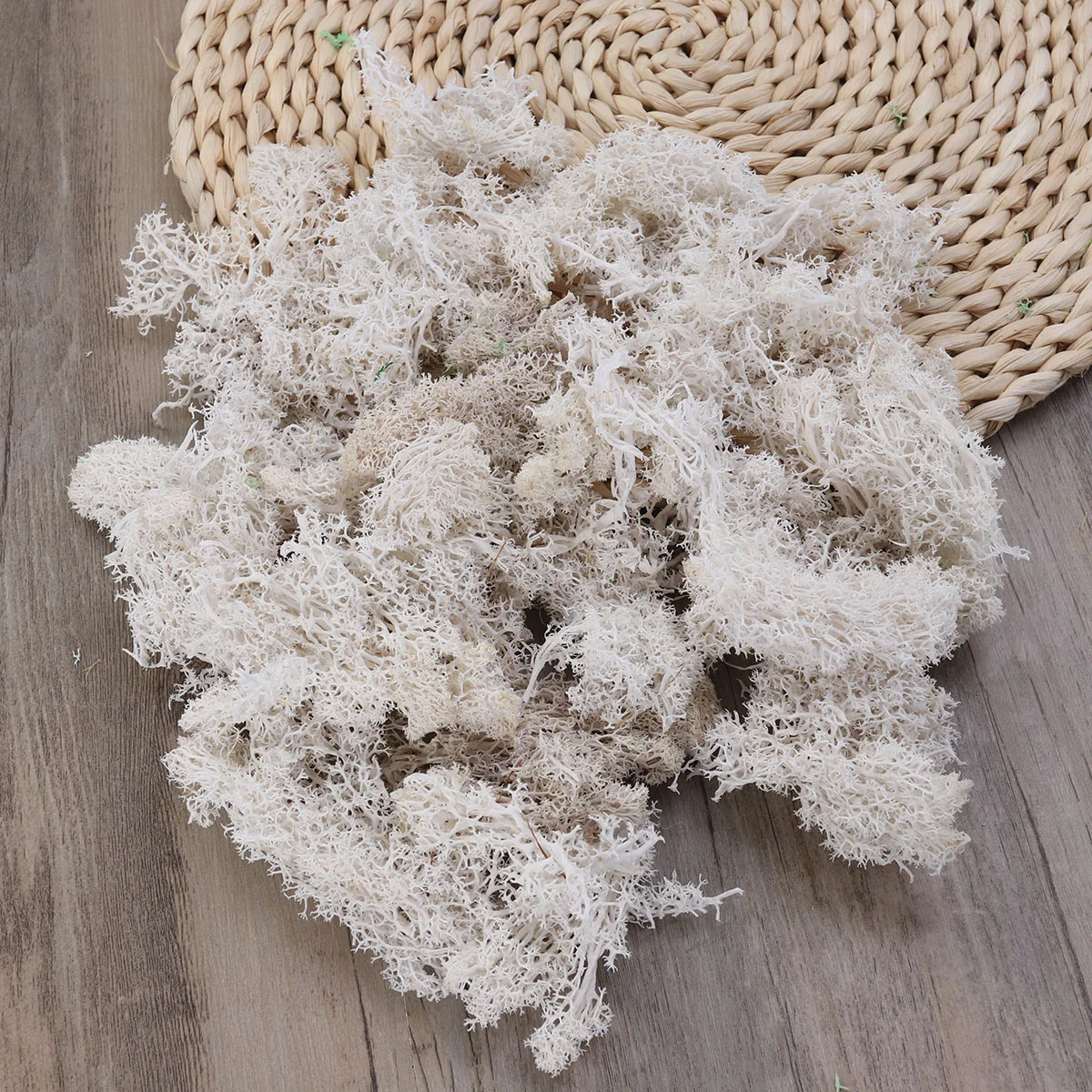 

Decorative Artificial White Preserved Garden Well Dry Natural Material Dried Floralpotted