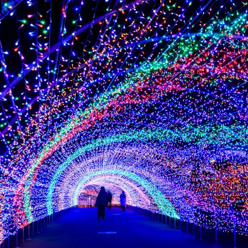 

Рождественская светодиодная гирлянда RMNRTN 100/200LED