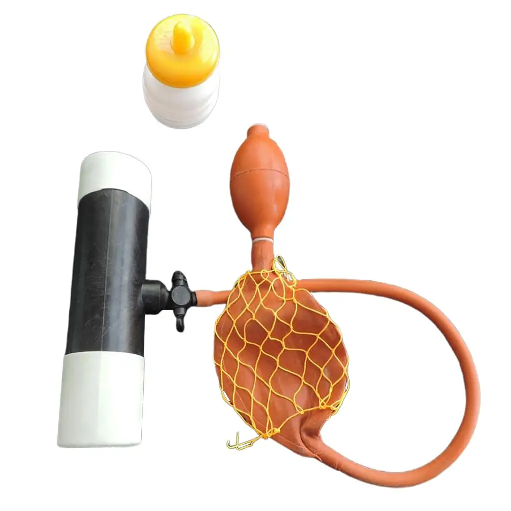 

Artificial Insemination Collection Equipment Sheep Breeding Accessory