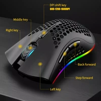 professional 2 4 g wireless usb gamer mouse 4000dpi ergonomic design rgb gaming mouse for pc laptop lol gamer 2022