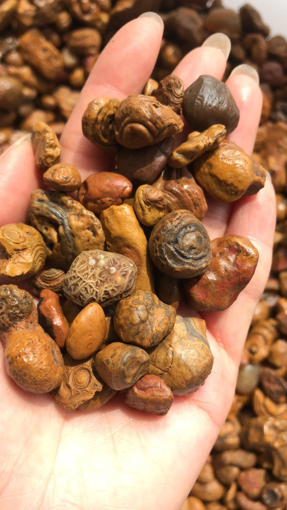 

500g Natural Rough Agate Alxa League Gobi Agate Jewelry Processing Materials Decorative Stones for Household Fish Tanks