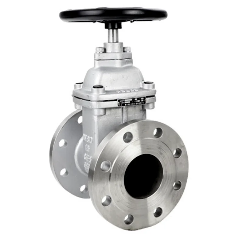 TKFM из нержавеющей стали пищевой класса ansi класс 300 запорный клапан dn 50